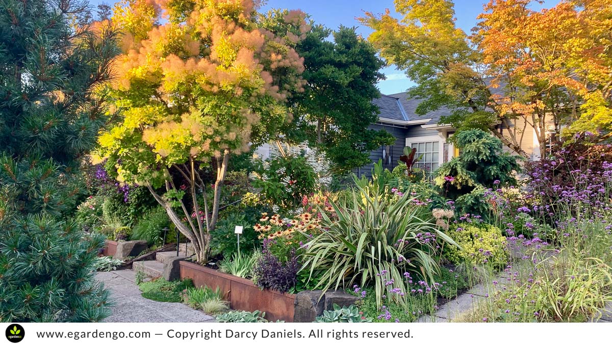 My Front Garden in Early July - Portland, OR